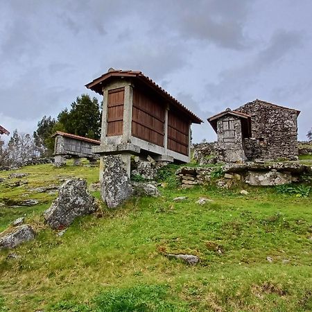 הוילה פארדס דה קורה Casa Da Rosa Porreiras מראה חיצוני תמונה