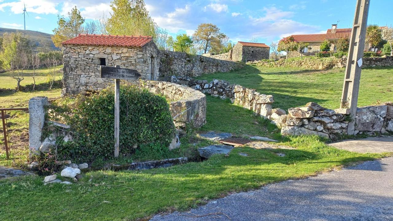 הוילה פארדס דה קורה Casa Da Rosa Porreiras מראה חיצוני תמונה